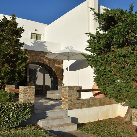 Andros 4 All Seasons Villas & Suites - Agios Petros Kipri  Extérieur photo